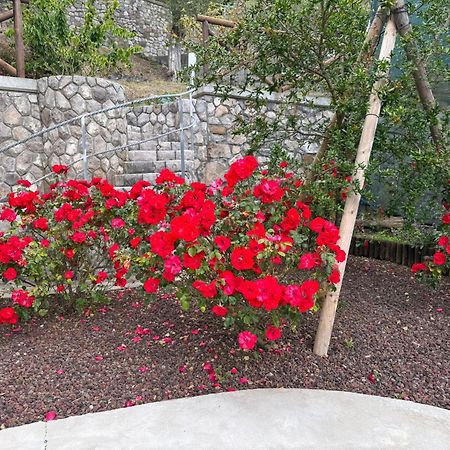"Il Fienile Di Zia Teresa" Villa Massa Lubrense Eksteriør billede