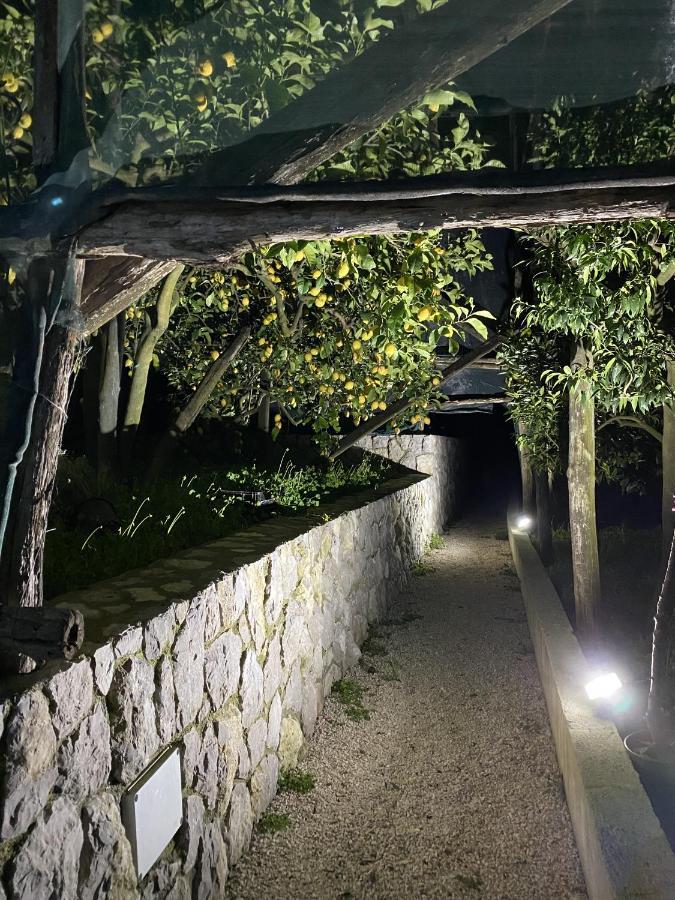 "Il Fienile Di Zia Teresa" Villa Massa Lubrense Eksteriør billede